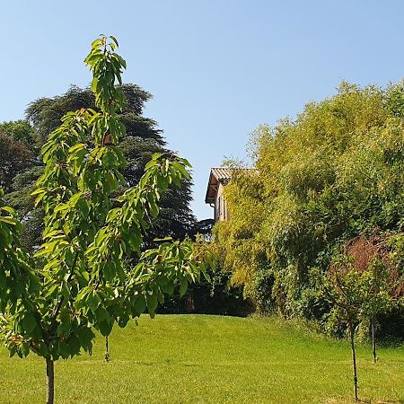 Douceurs Des Vignes Du Vivian Villa Denicé Dış mekan fotoğraf