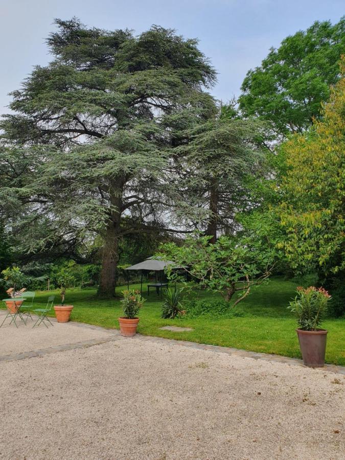 Douceurs Des Vignes Du Vivian Villa Denicé Dış mekan fotoğraf