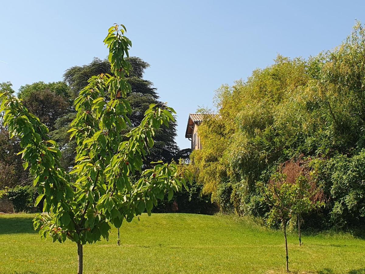 Douceurs Des Vignes Du Vivian Villa Denicé Dış mekan fotoğraf