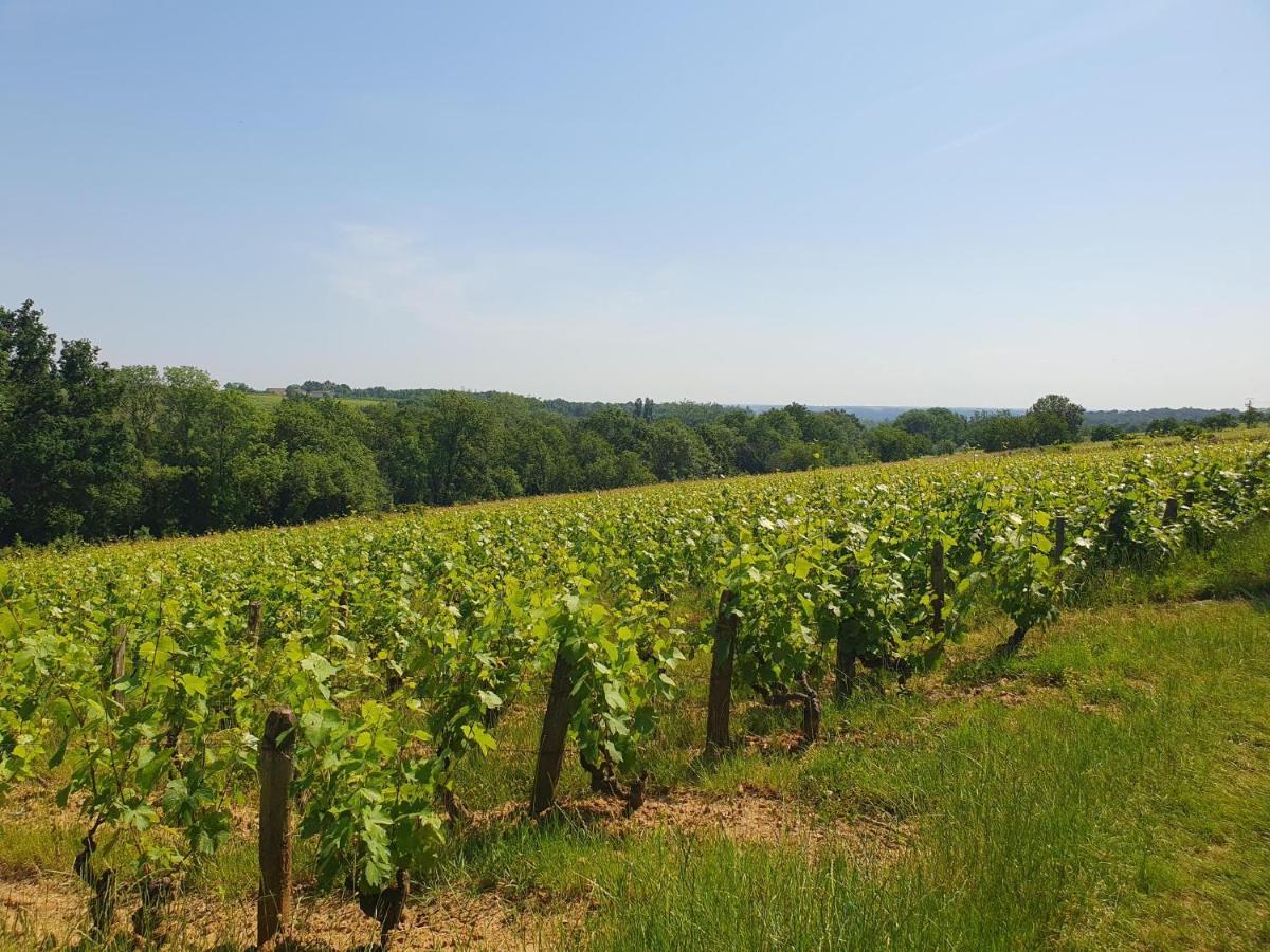 Douceurs Des Vignes Du Vivian Villa Denicé Dış mekan fotoğraf